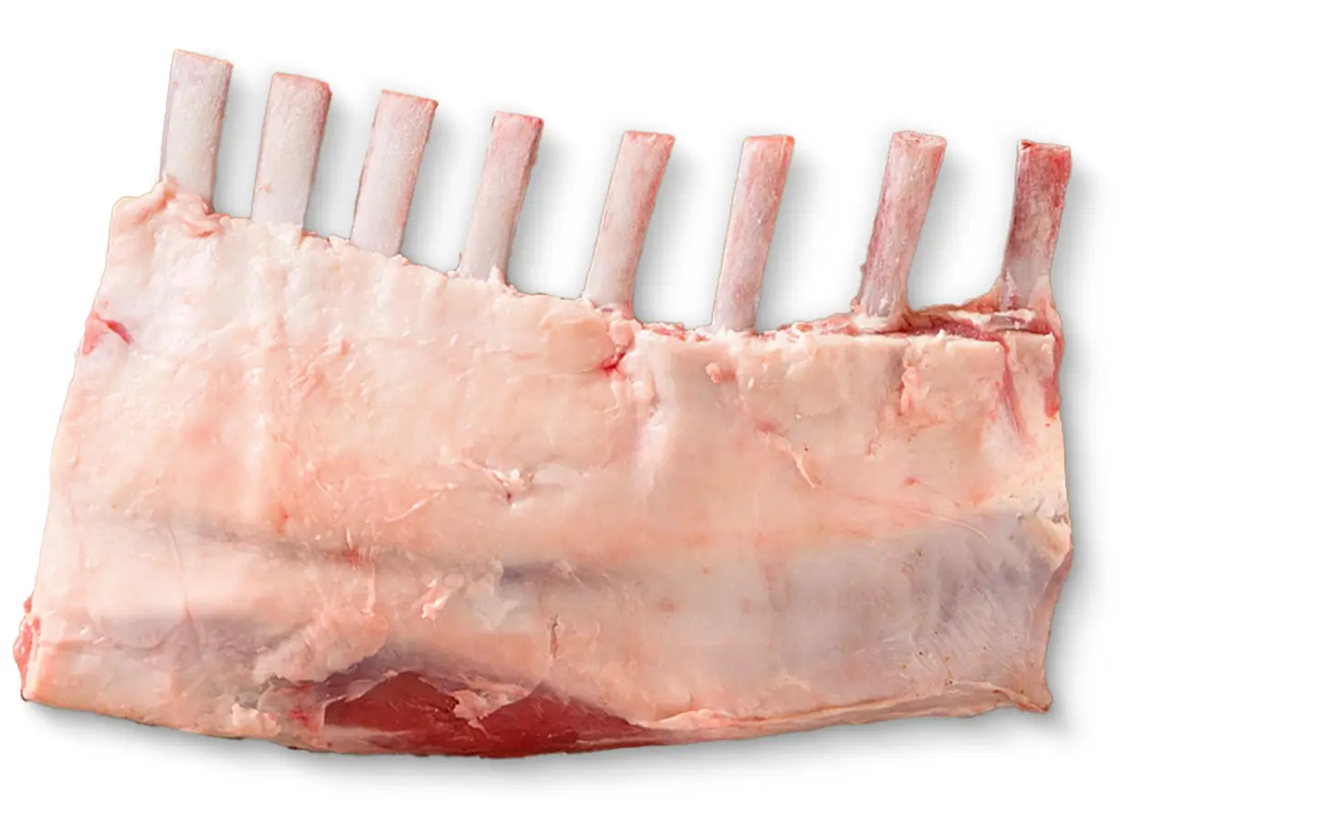 Lamb Frenched Rack