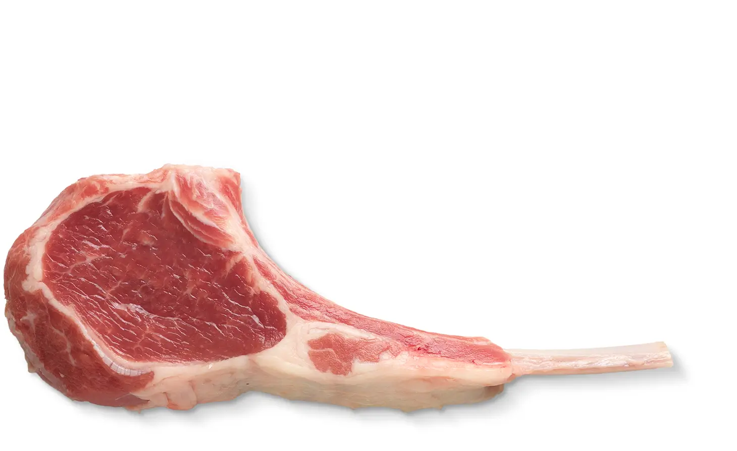 Lamb Rib Chops