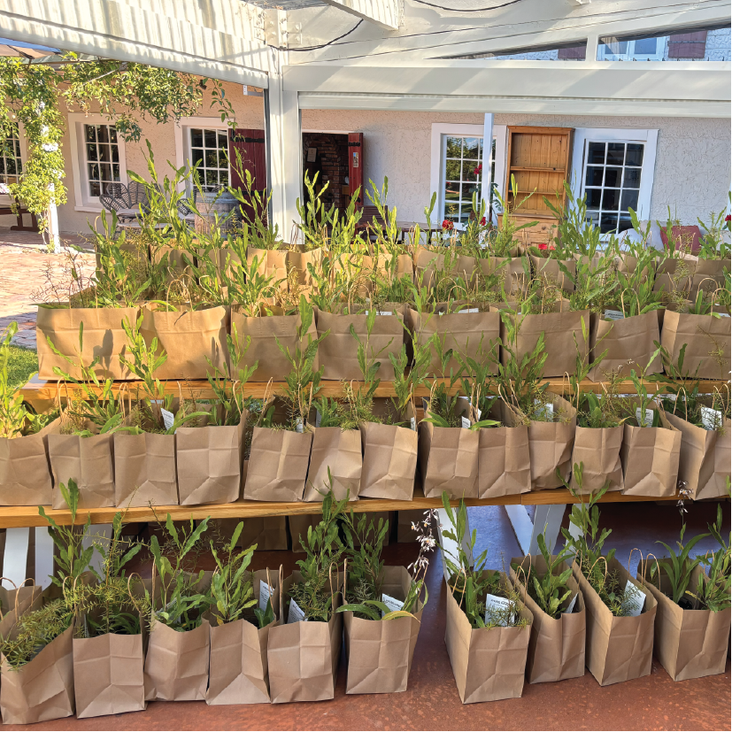 2025 Supplier of the Year