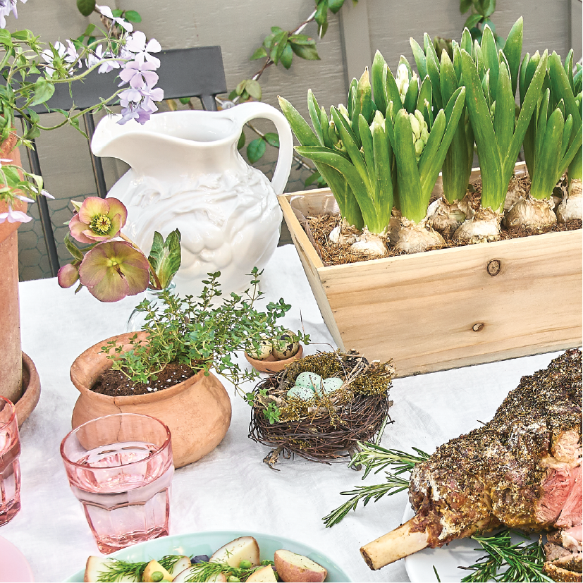 The Best Cuts of Lamb for Easter